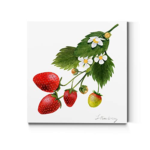 Strawberry 2
