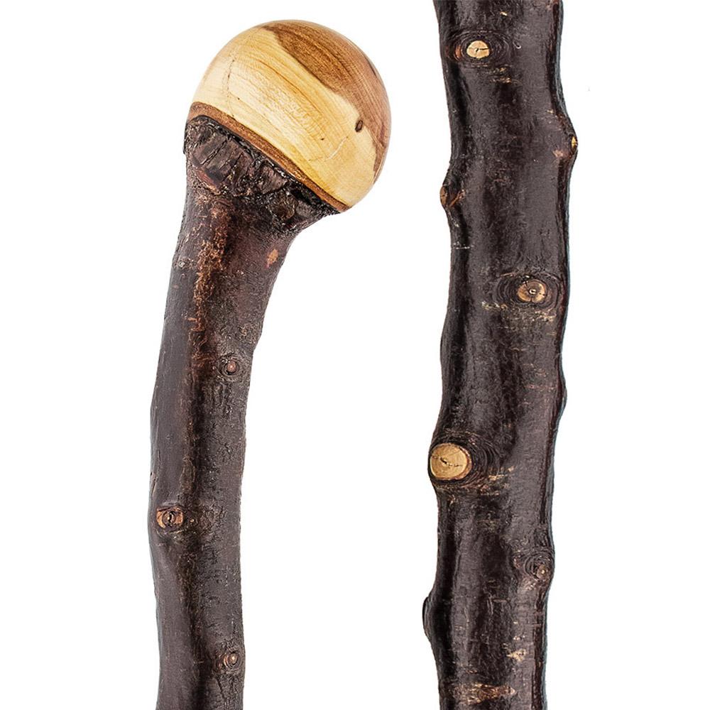Premium Extra Long Root Knobbed Walking Stick - Handcrafted Blackthorn Shaft for Hiking, Trekking & Outdoor Adventures - Durable Support for Seniors & Hikers