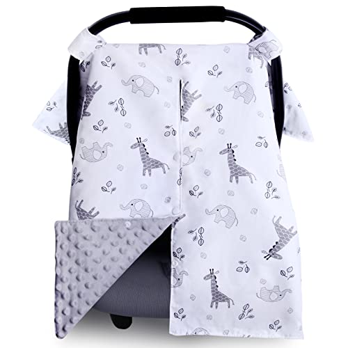 Elephant Giraffe