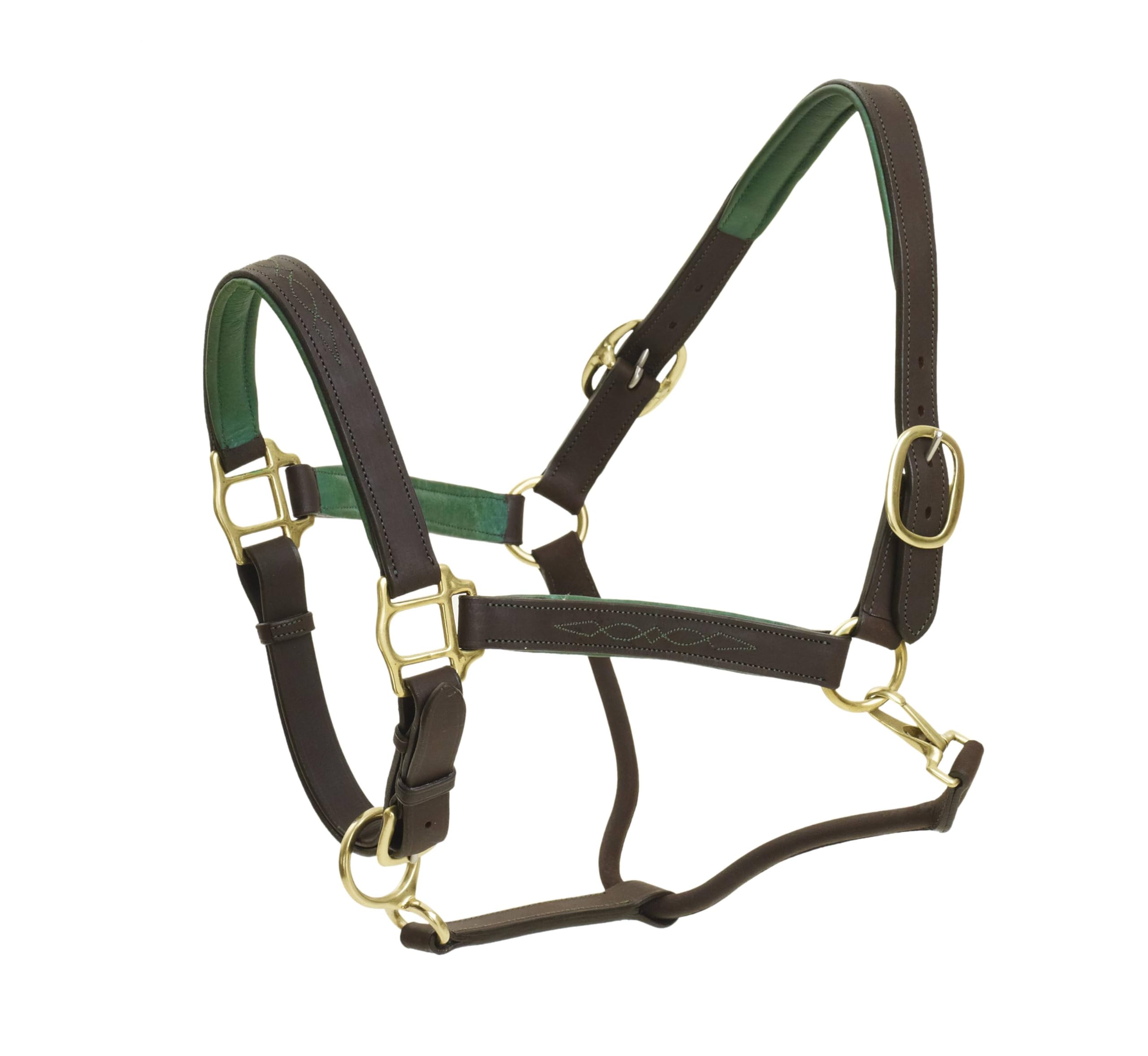 OVATION Richtan Luxury Padded Halter Bra - Comfortable Support for Women | Perfect for Yoga, Gym & Everyday Wear