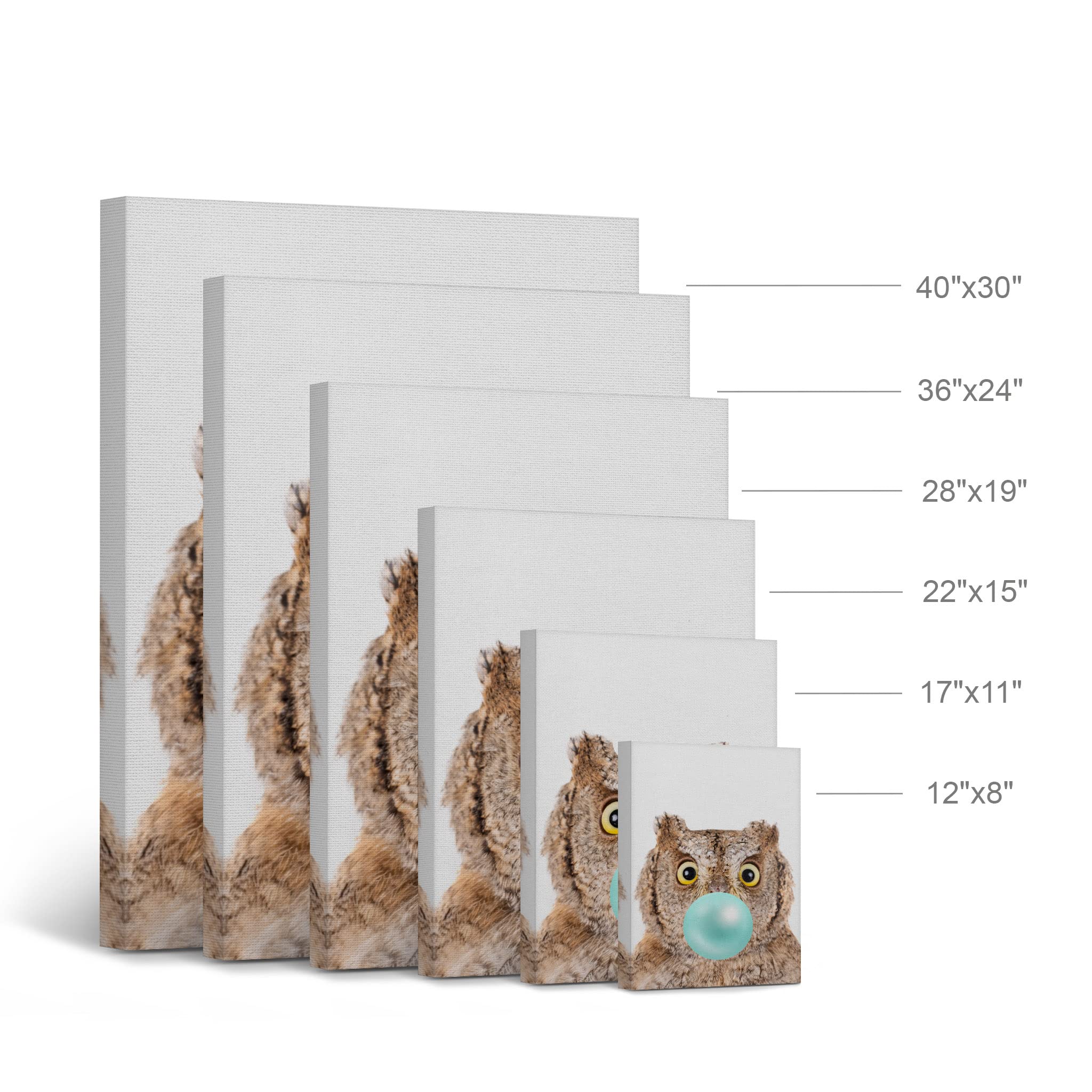 Eurasian Scops Owl Chewing Blue Bubble Gum Canvas Wall Art Print - Pop Art Animal Portrait for Office, Living Room, Bedroom & Nursery Decor (22x15 inches) | Unique Safari-Themed Home Decor for Kids Rooms & Modern Spaces