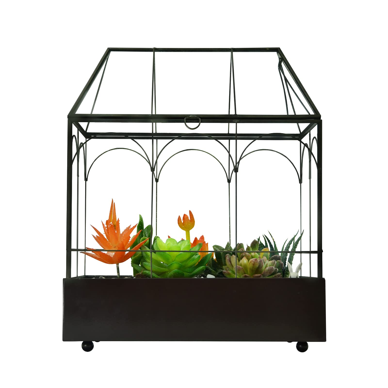 Large Tall Glass Plant Terrarium for Succulents & Air Plants – 9.5”X5.7”X11.4” House Terrarium Kit with Lip and Tray | Perfect for Home Decor, Office Desk & Indoor Gardening