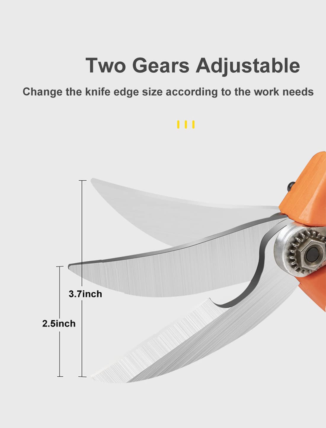 16.8V Electric Kitchen Bone Scissors - Heavy Duty Poultry Shears with Lithium Battery for Cutting Chicken Bones, Vegetables & Crab Legs | Perfect for Home Cooking, Butchering & Food Prep
