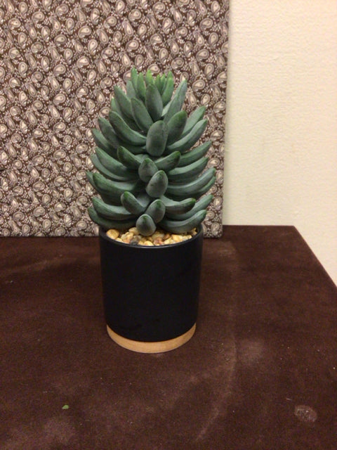 6.5 Inch Faux Echeveria/Aeonium Succulent Plant in Black Decorative Pot - Perfect for Home, Office Desk Decor and Gift Giving