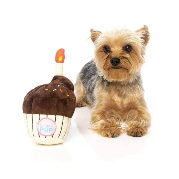 Fuzzyard Birthday Cupcake Plush Dog Toy - Soft & Cute Stuffed Animal for Dogs - Perfect Gift for Pet Birthday Parties & Celebrations