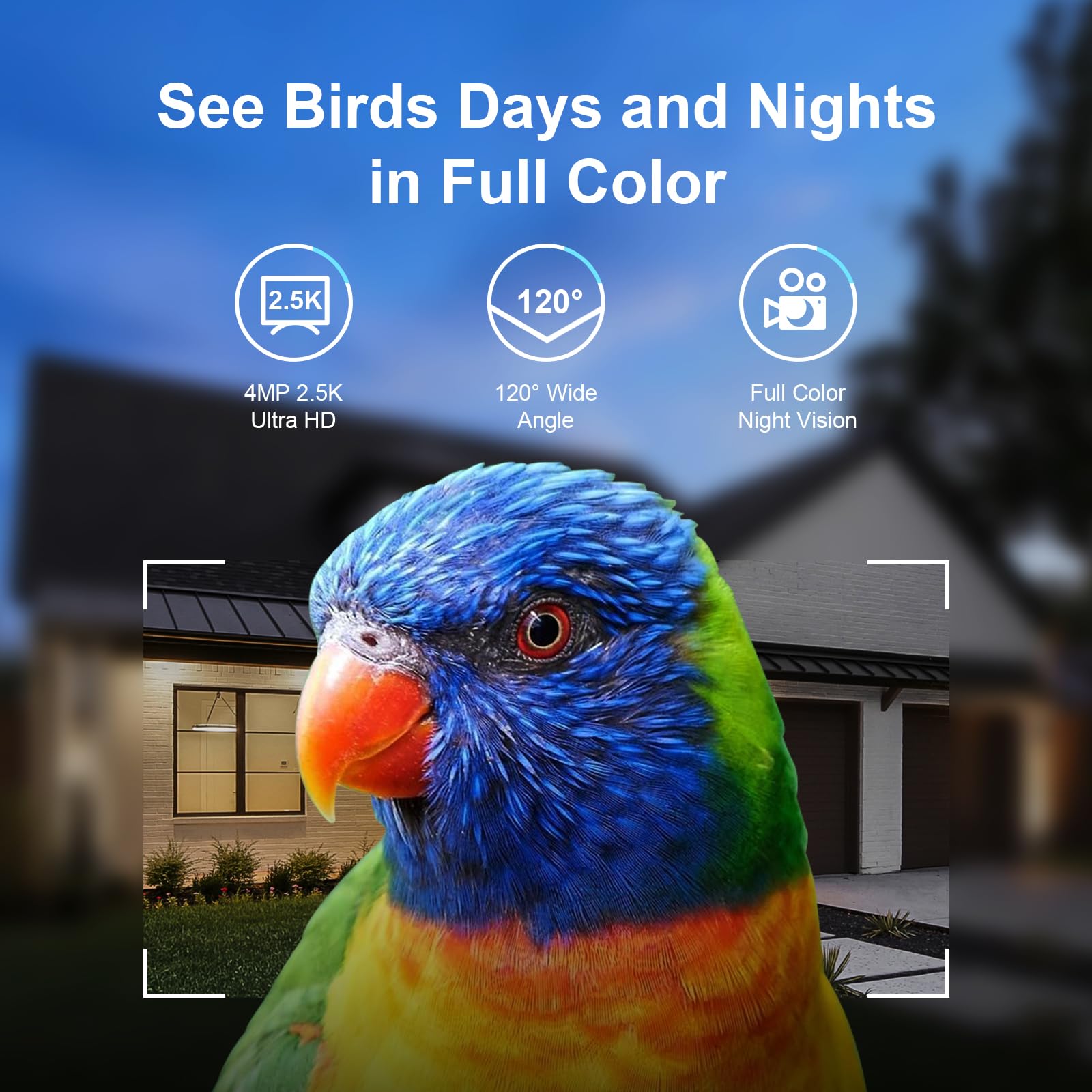 Smart Bird Feeder Camera with Solar Power - 4MP 2.5K HD Wireless Wildlife Camera, 64GB TF Card Included, Auto Bird Detection & AI Recognition for 11000+ Species - Perfect for Backyard Bird Watching, Nature Monitoring & Outdoor Wildlife Photography