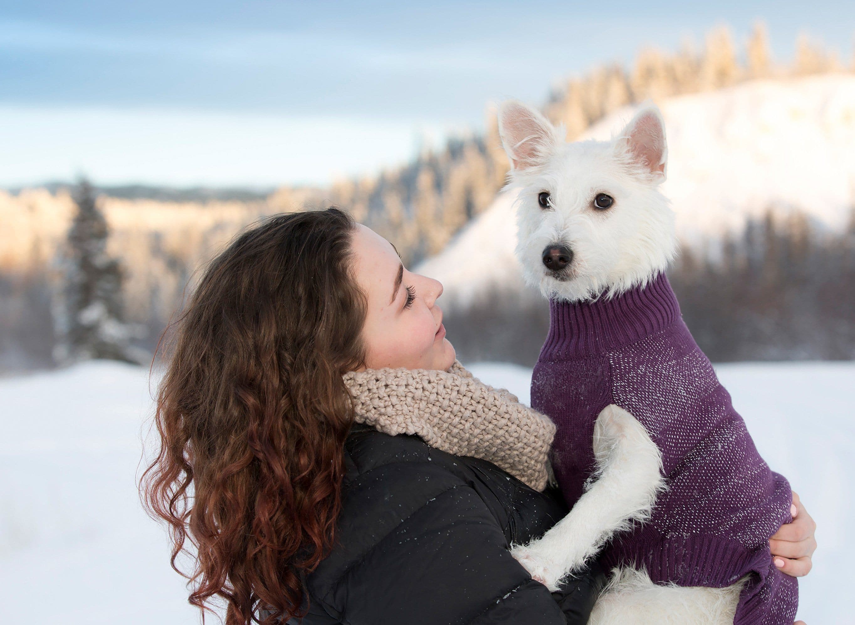 Reflective Dog Sweater in Black - High Visibility Pet Safety Vest for Night Walks & Outdoor Adventures