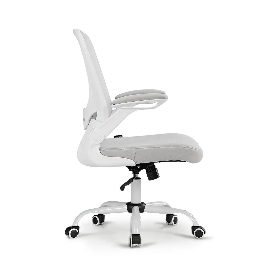 Onyx Ergonomic Office Chair - Adjustable Lumbar Support & Breathable Mesh Back - Home & Office Desk Chair for Long Hours Sitting - Perfect for Gaming, Working, or Studying