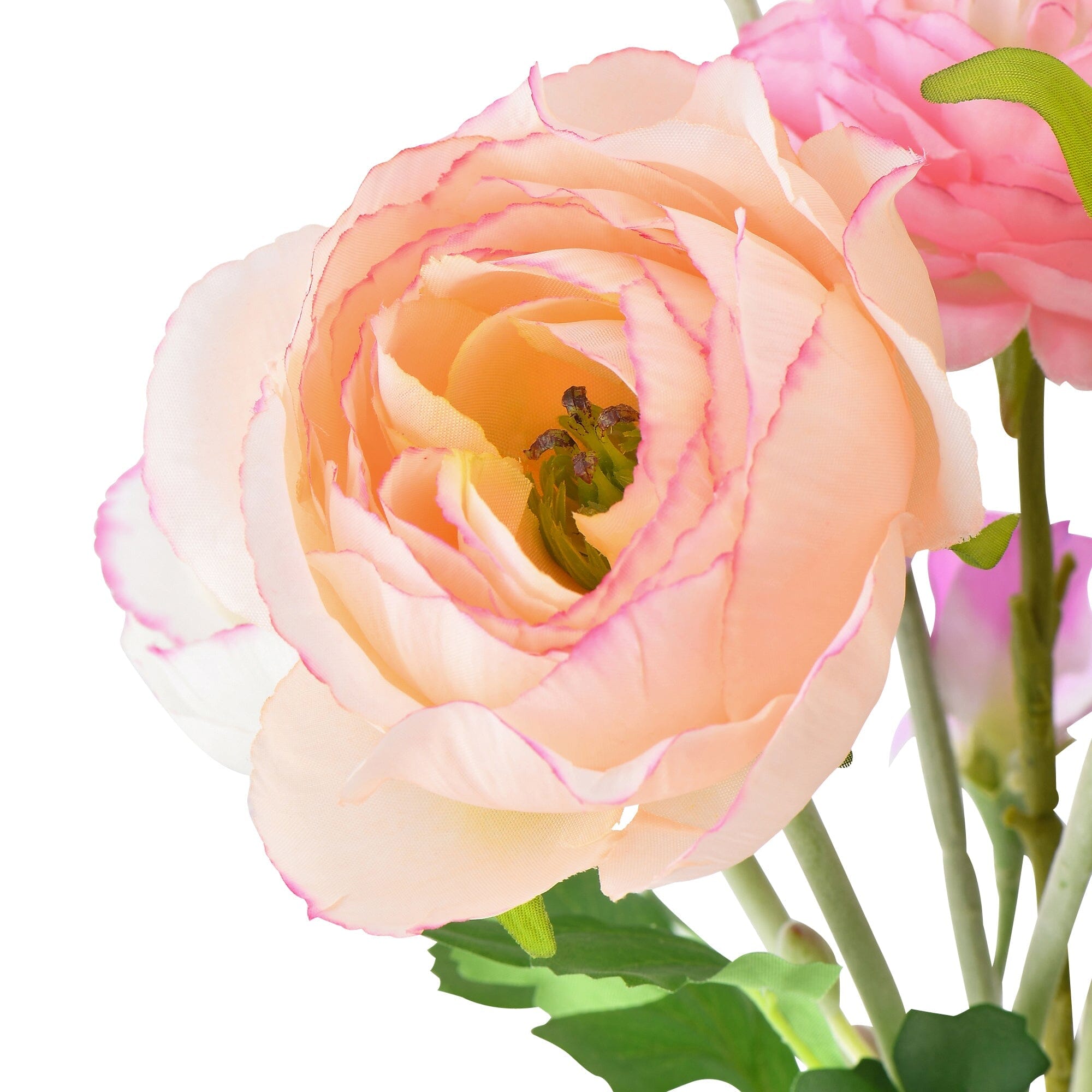 Beautiful Light Pink Ranunculus Bouquet Mix - Fresh Cut Flowers for Weddings, Home Decor & Special Occasions