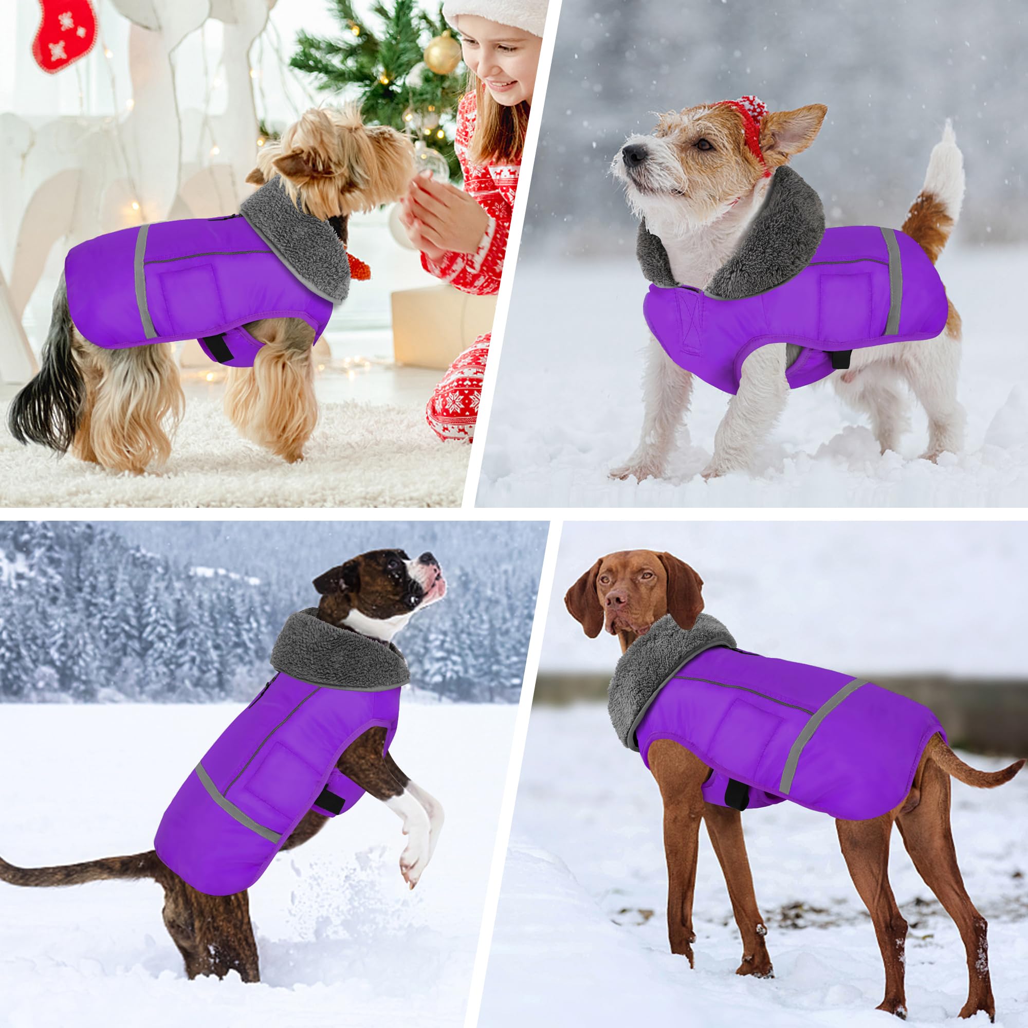 Waterproof Adjustable Reflective Dog Winter Coat with Buckle - Windproof Fleece Snow Jacket for Small Medium Large Dogs - Purple (M) - Ideal for Cold Weather Walks, Outdoor Adventures & Winter Protection