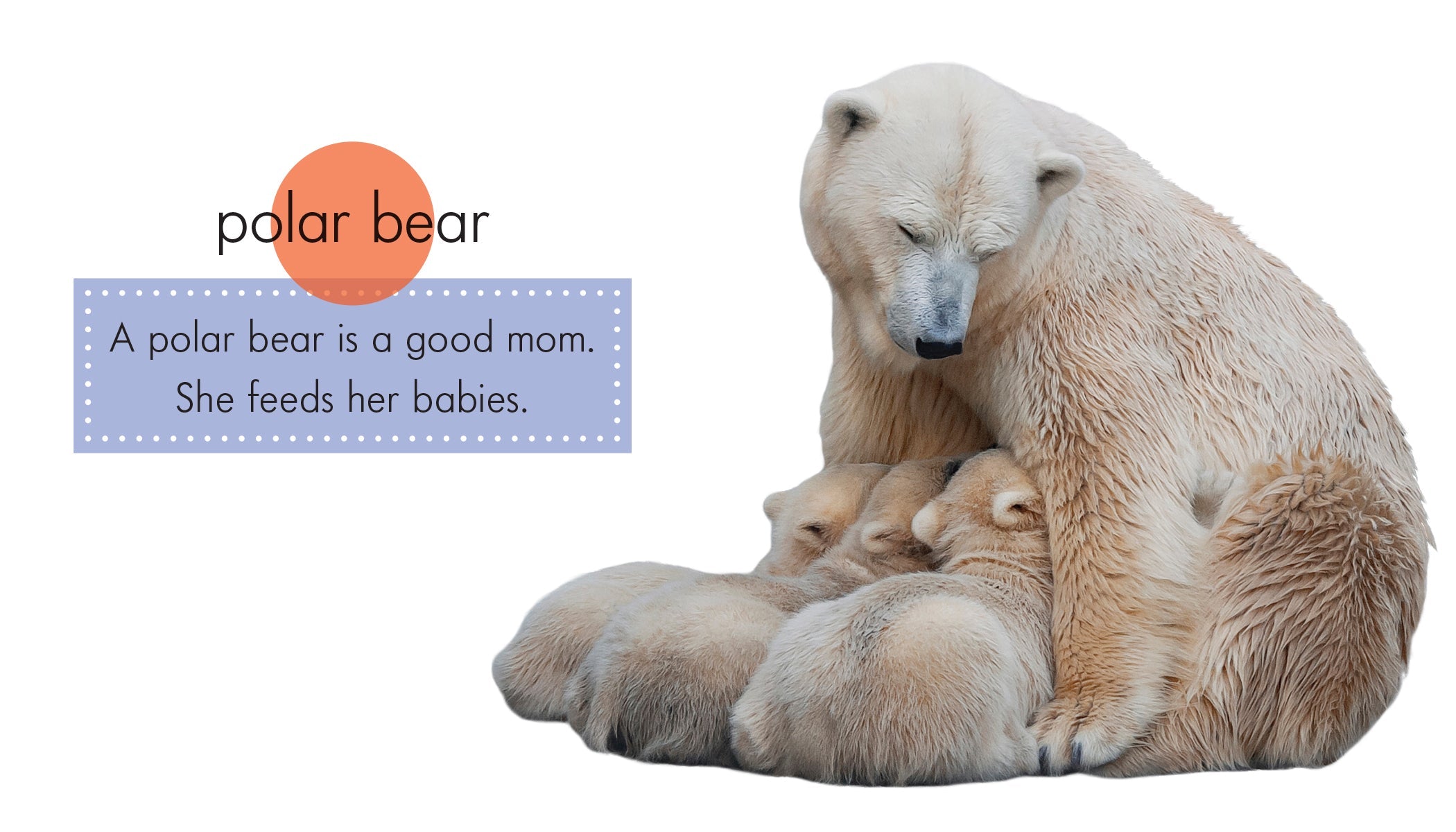 Animal Moms Plush Toys - Cute Stuffed Animals for Kids, Gifts & Nursery Decor | Perfect for Birthdays, Baby Showers & Cuddling