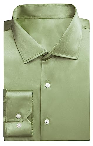 Satin Sage Green