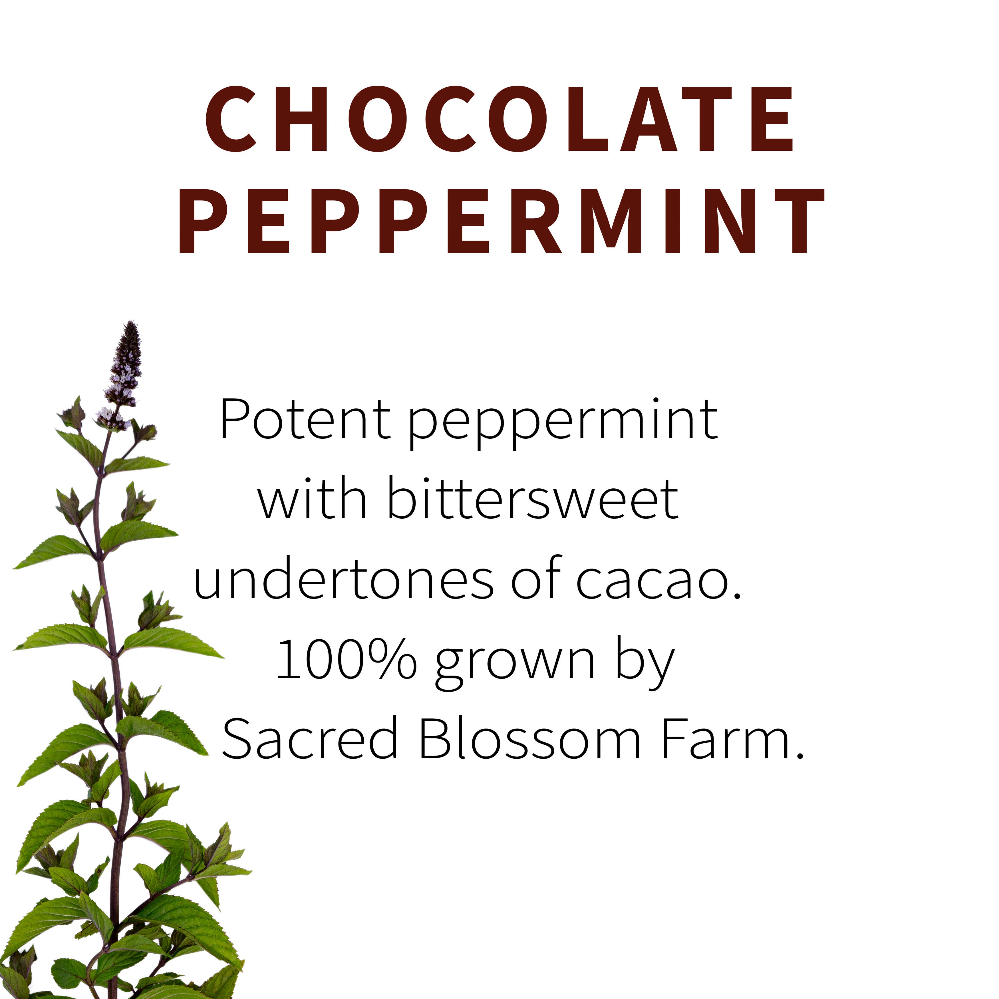 Organic Chocolate Peppermint Tea Bags - Herbal Tea for Relaxation & Digestion - Perfect for Afternoon Tea Time, Stress Relief & Cozy Evenings