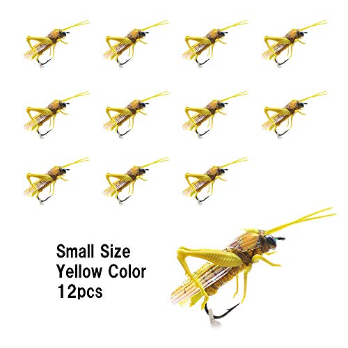 Small Yellow 12pcs