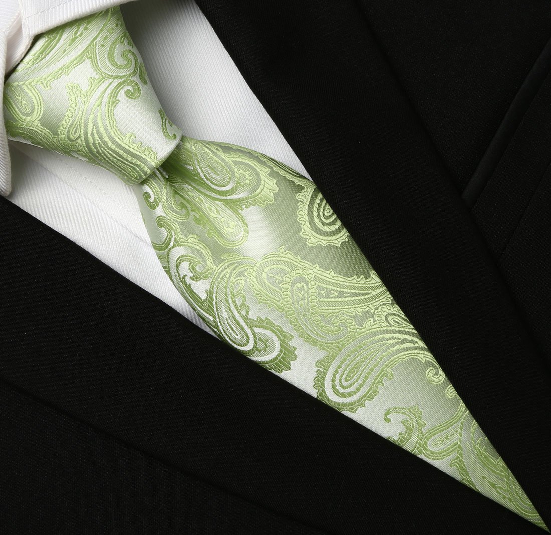 KissTies Men's Classic Paisley Necktie - Formal Silk Tie with Gift Box for Business, Wedding & Special Occasions