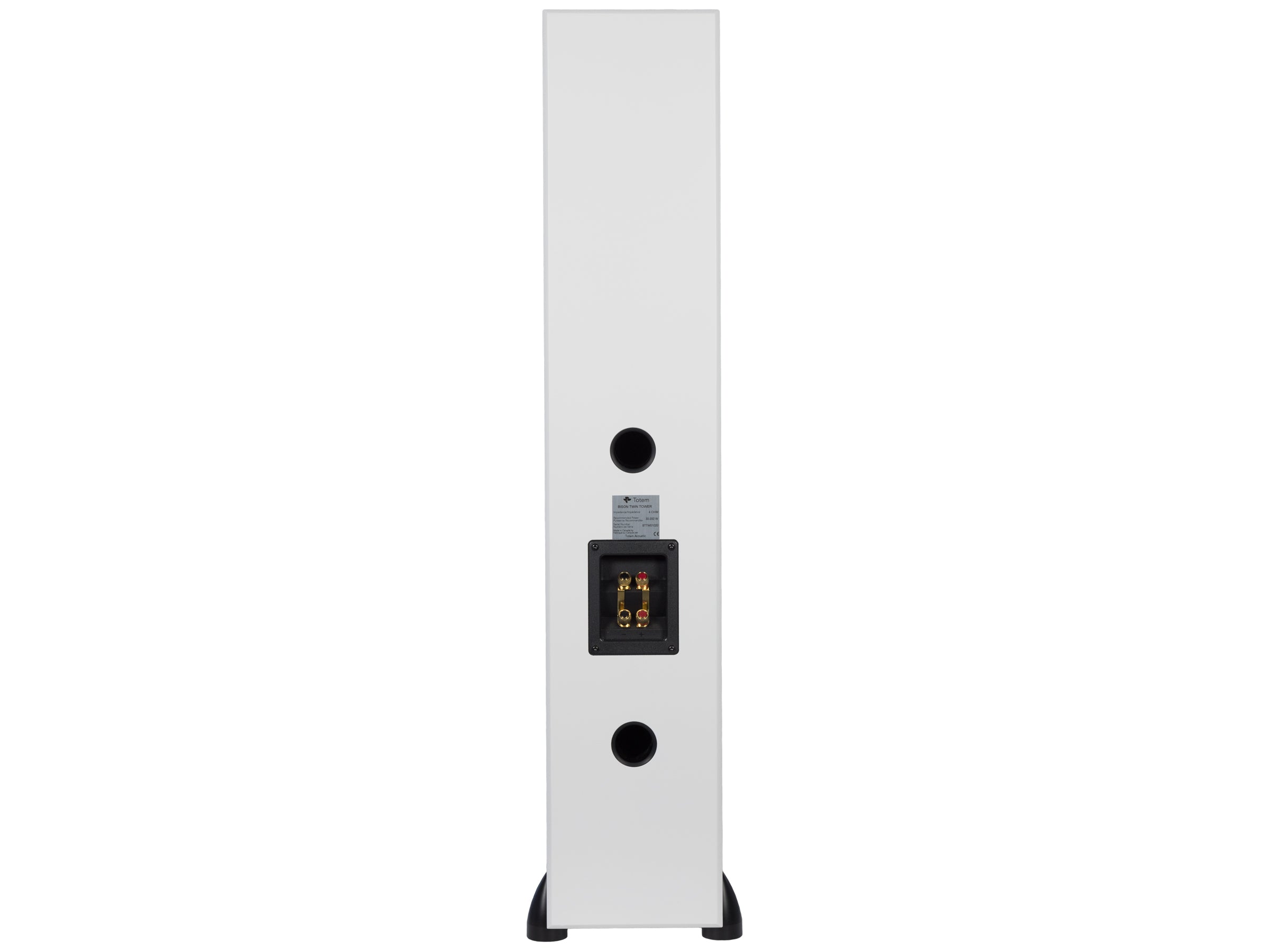 Totem Acoustic Bison Twin Tower Speakers (Pair) - Premium High-Fidelity Audio for Home Theater & Music Listening