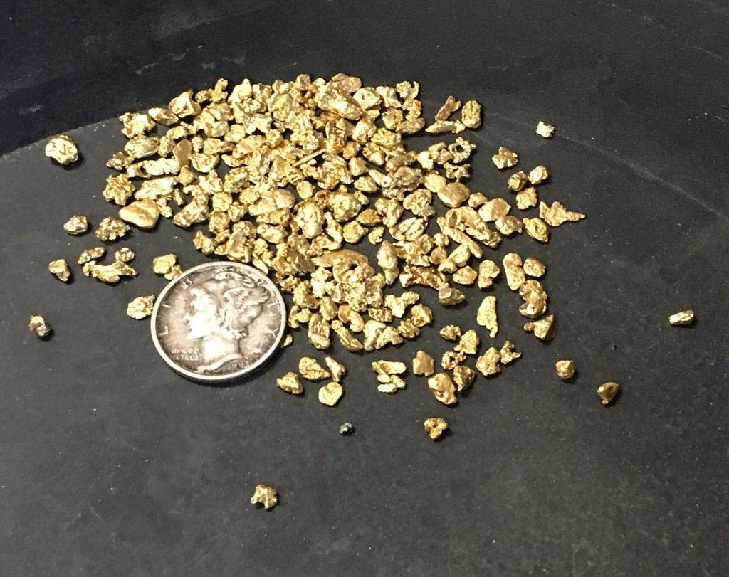 10 LB Colorado Gold Paydirt - Unsearched Gold Panning Bag with Guaranteed Gold - Fun Home Gold Prospecting Kit for Beginners & Hobbyists - Perfect for Family Activities & Outdoor Adventures