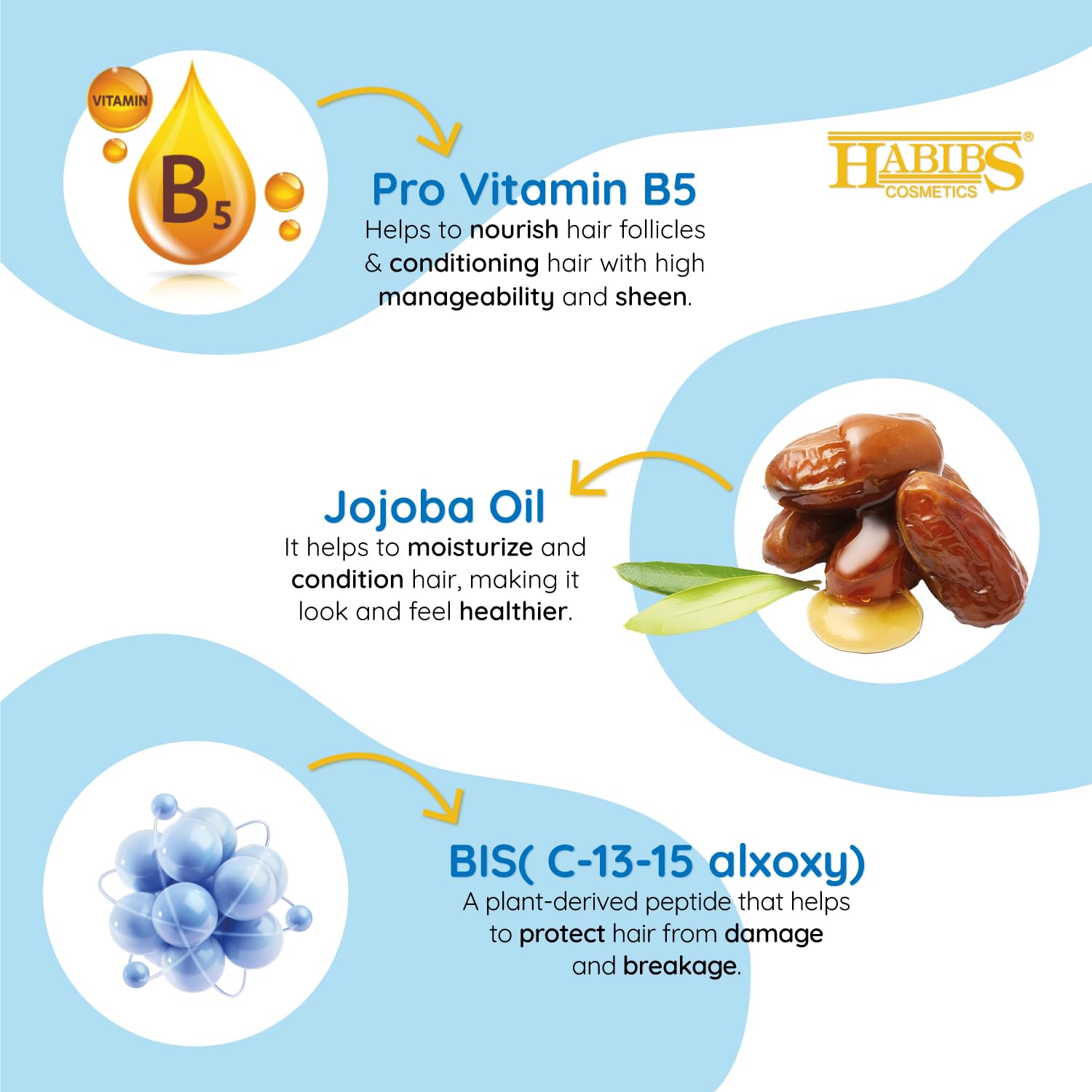 HABIBS COSMETICS Repairing Shampoo & Conditioner Set for Dry Damaged Hair - 200ml Jojoba Oil Shampoo & Wheat Germ Conditioner - Natural Hydrating Formula for Soft Smooth Hair - Men & Women - Perfect for Daily Hair Care & Salon-Quality Results at Home