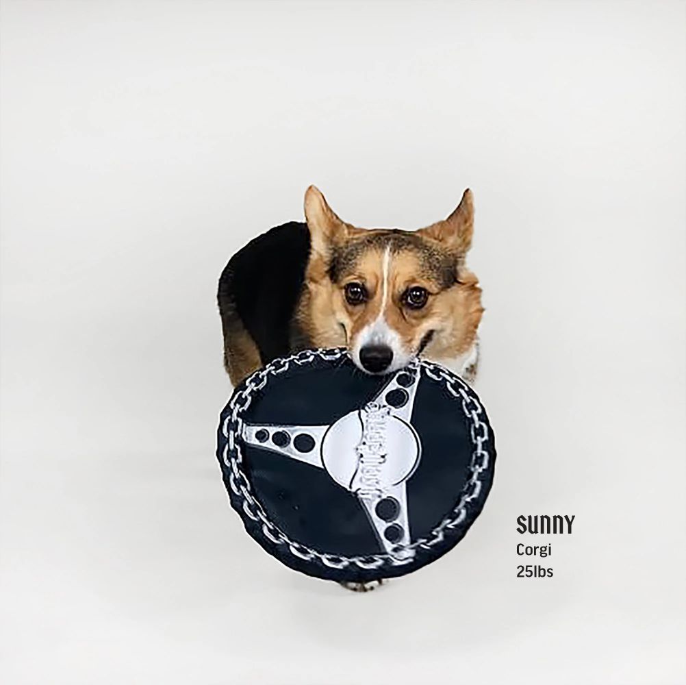 Premium Chain Steering Wheel Dog Toy - Durable Chew Toy for Aggressive Chewers, Interactive Play & Teeth Cleaning - Perfect for Car Rides & Outdoor Adventures