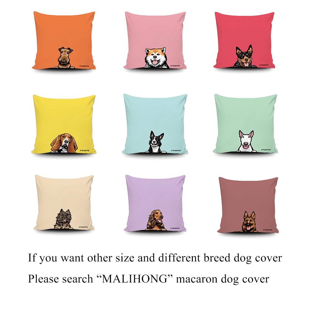 Funny Peeking English Bulldog Dog Throw Pillow Cover - 18x18 Inch Macaron Chocolate Orange Sofa Bed Pillow Case - Perfect for Home Decor, Living Room & Bedroom Accents