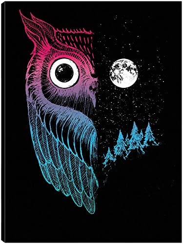 Night Owl