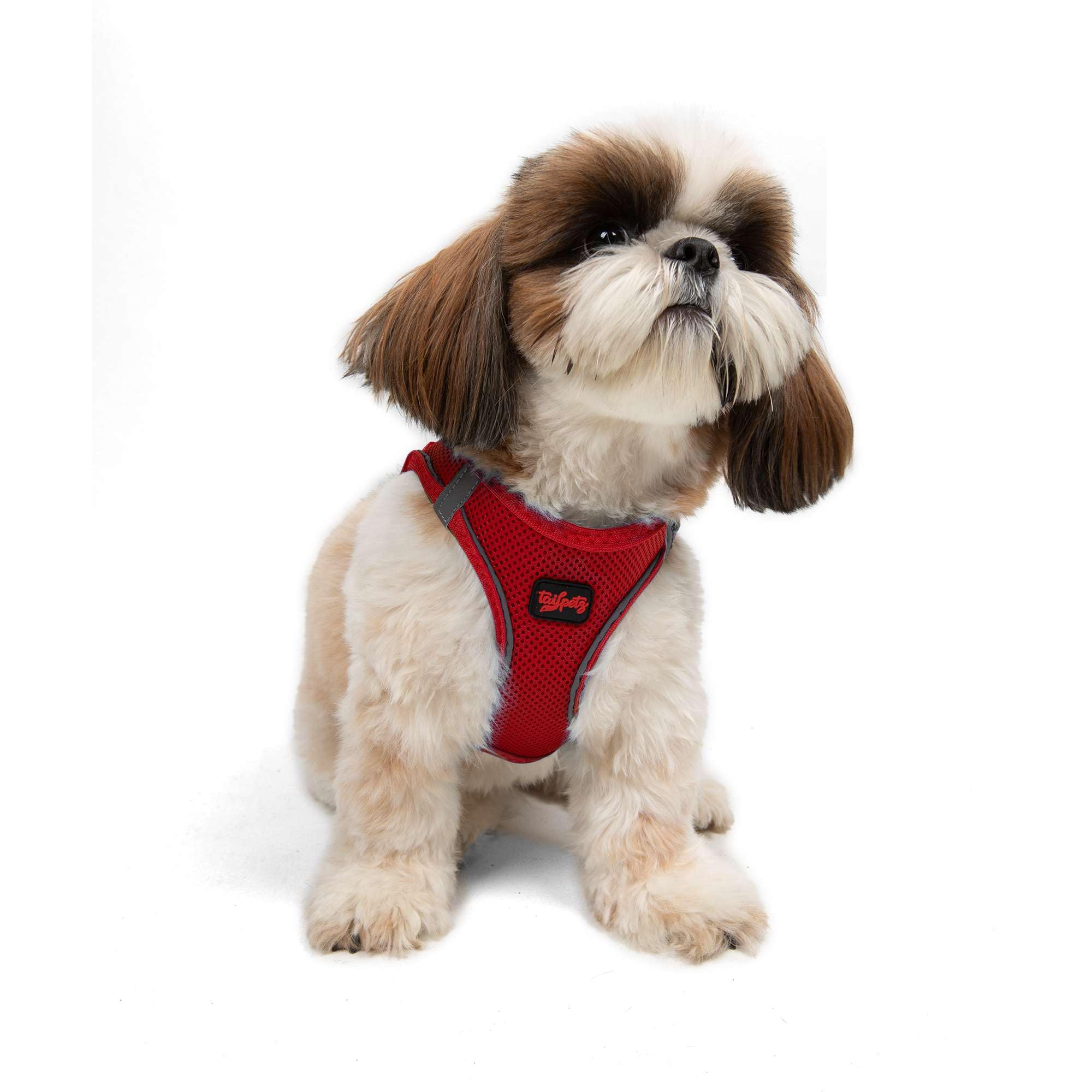 **Tailpetz Adjustable No-Pull Dog Harness for Small Dogs - Reflective Step-in Puppy Harness for Training, Walking & Outdoor Safety (Red, Small) - Perfect for Daily Walks, Jogging & Nighttime Visibility**