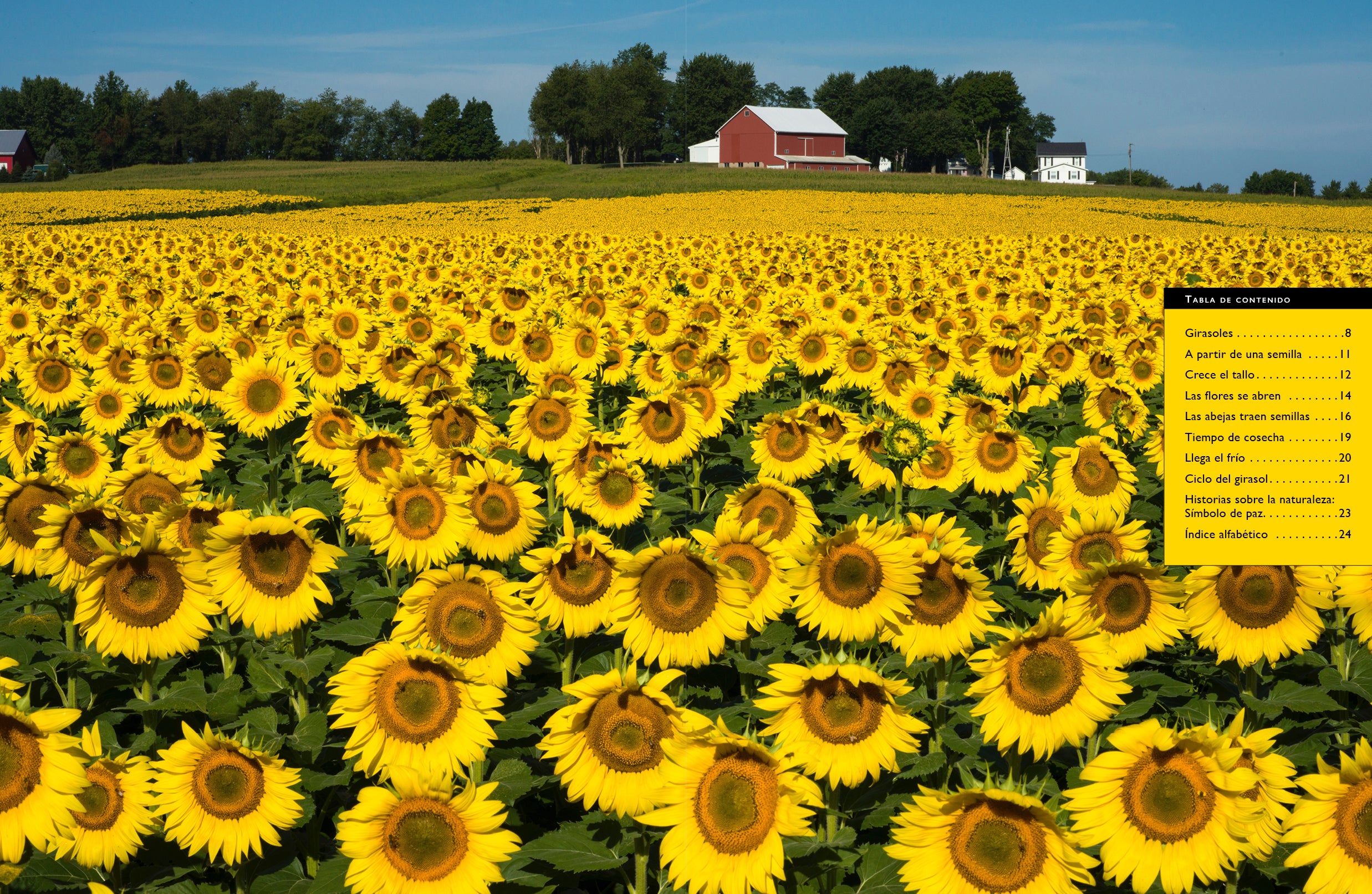 Sunflower Wall Art Decor - Beautiful Floral Canvas Print for Home & Office - Perfect for Living Room, Bedroom, and Gift Giving