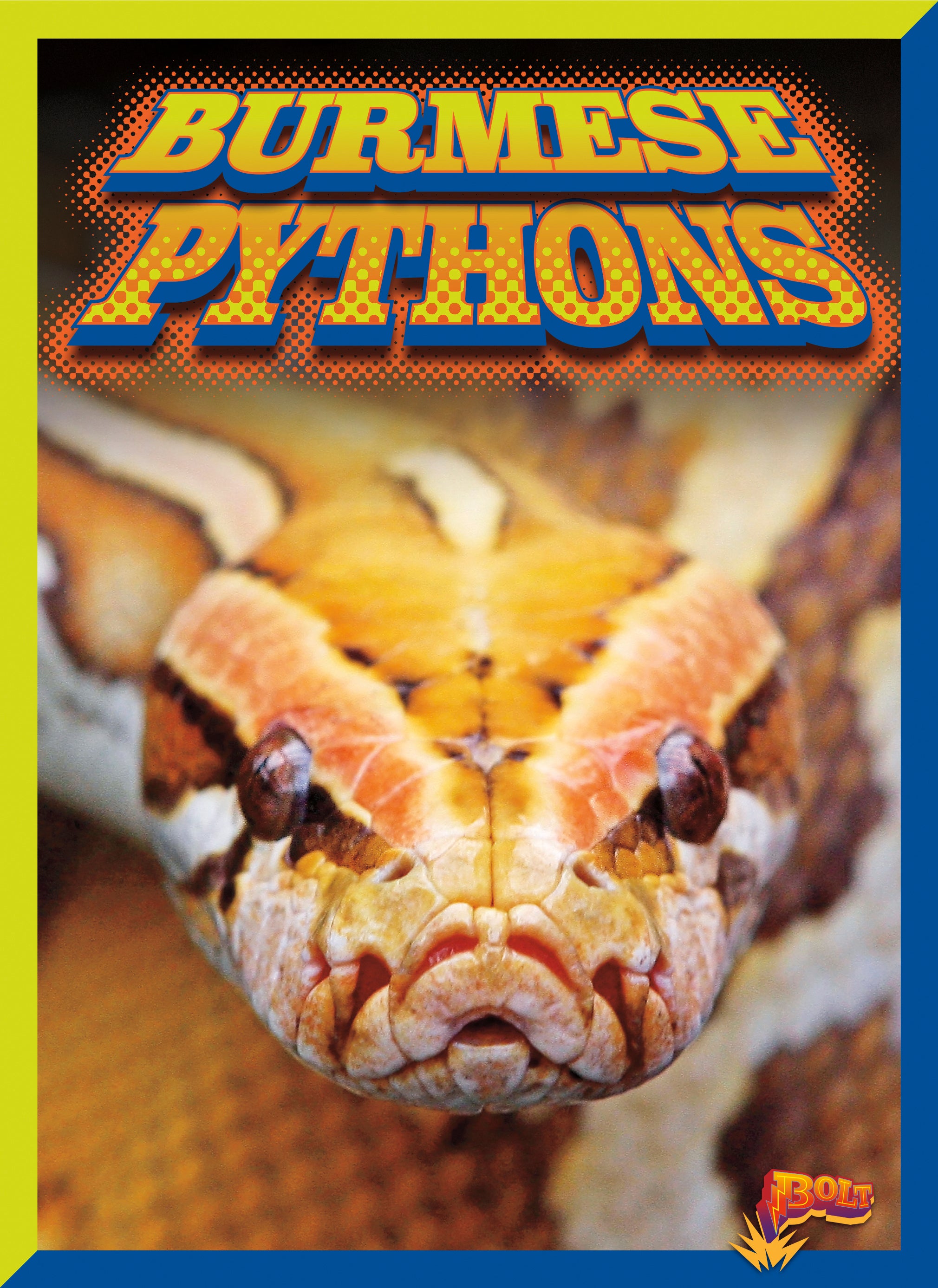 Burmese Pythons as Invasive Species: Impacts and Control Measures | Wildlife Management & Ecosystem Protection | Ideal for Environmental Studies and Conservation Efforts