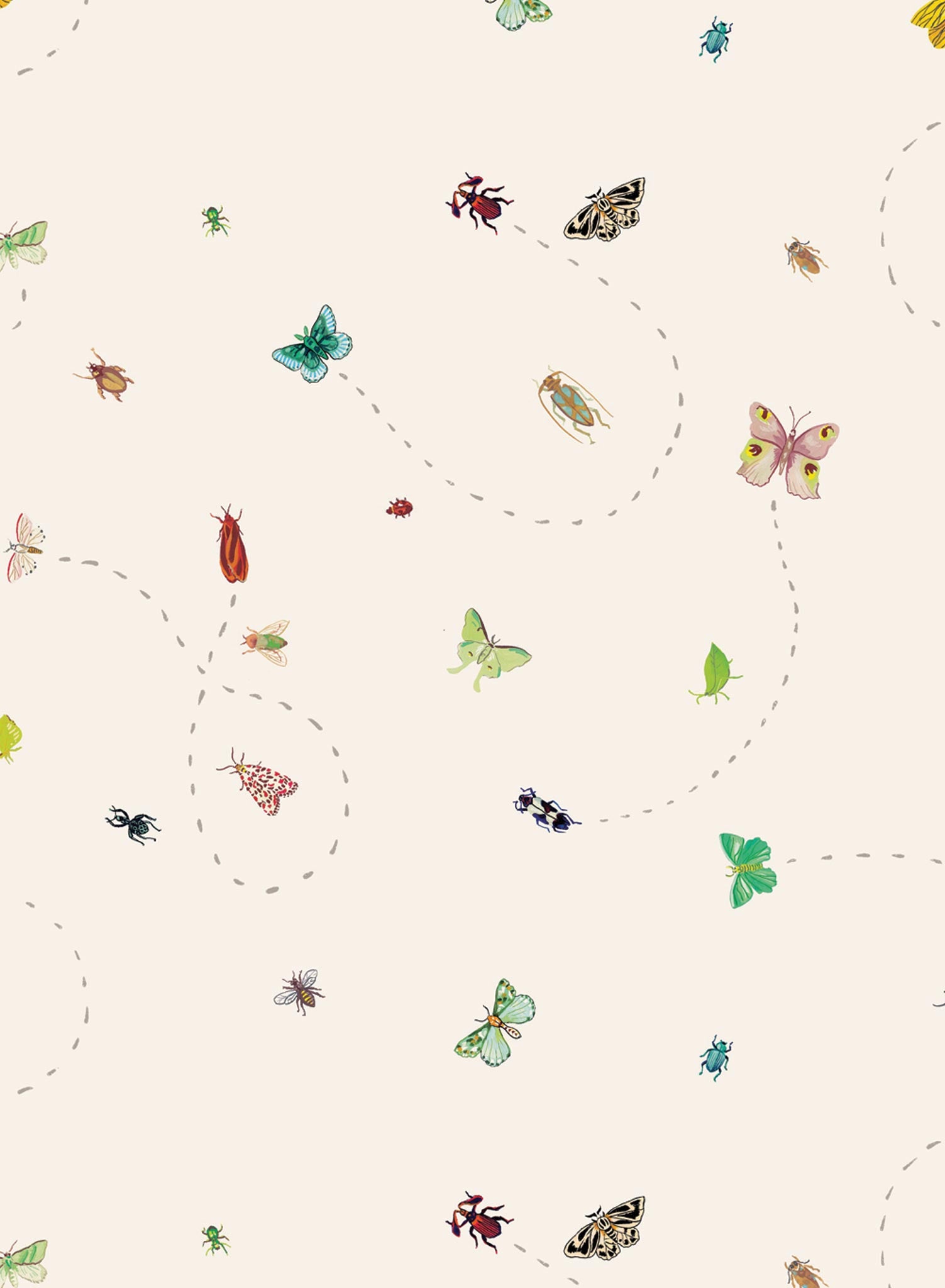Firefly
