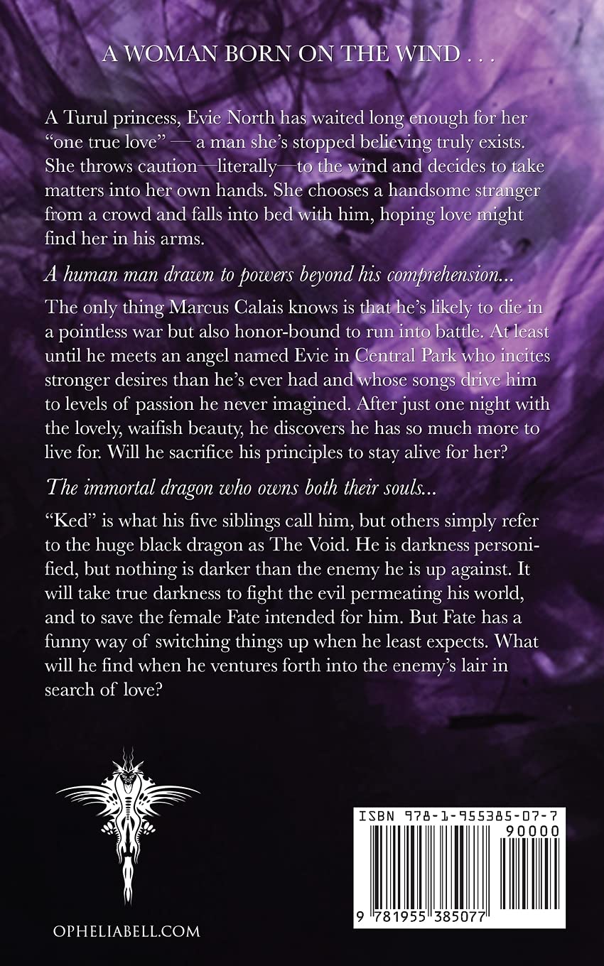 Dragon Void Fantasy Novel - Epic Adventure Book for Teens & Adults | Perfect for Reading, Gifts & Book Clubs