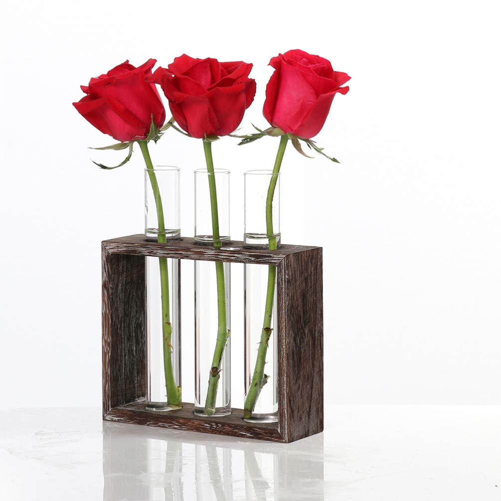 DOITOOL 1PC Hydroponic Glass Tube Vase with Wood Frame - 5 Crystal Glass Test Tube Flower Pots for Home, Office, Wedding & Party Decorations - Perfect for Succulents, Air Plants & Floral Arrangements