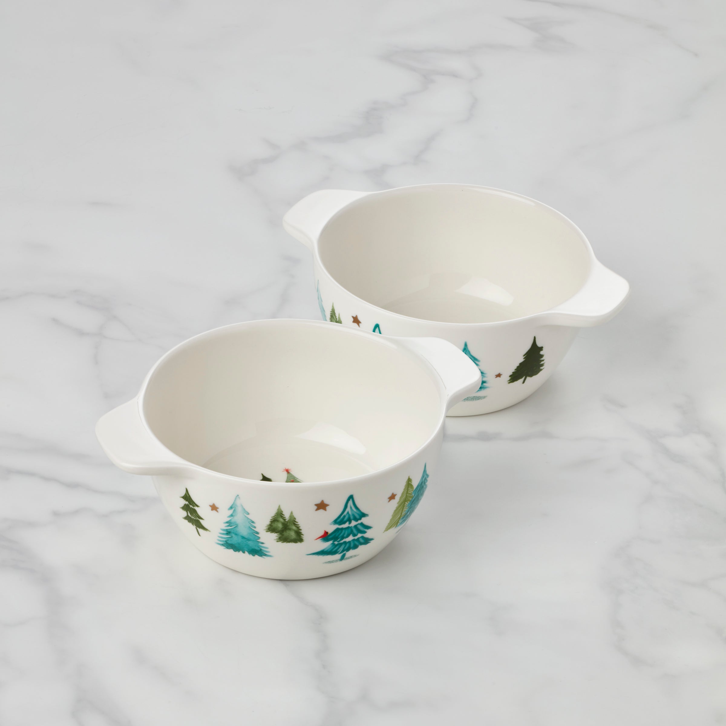 Balsam Lane Ceramic Soup Bowls Set of 2 - Elegant Stoneware Soup & Salad Bowls for Home Dining, Perfect for Soups, Stews, Cereals & Pasta - Microwave & Dishwasher Safe