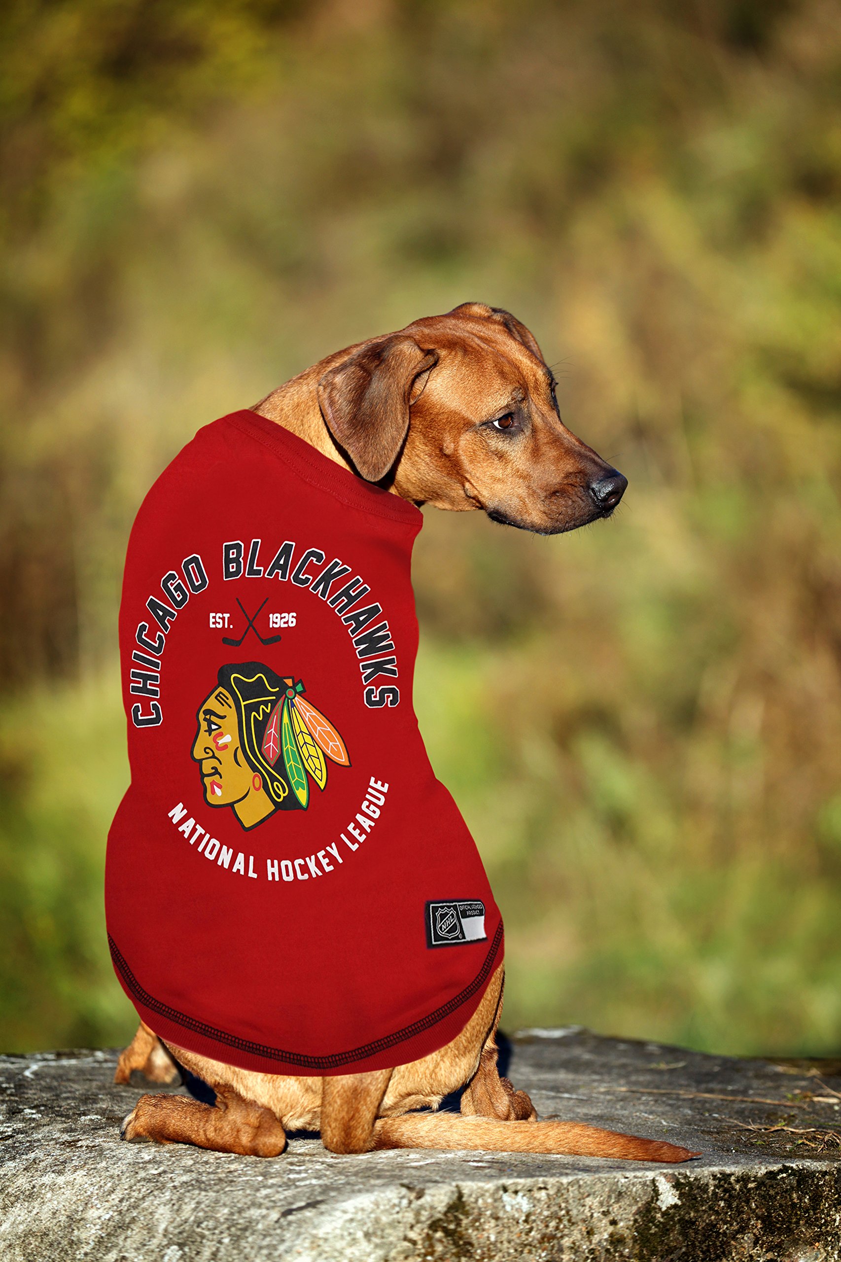 Chicago Blackhawks NHL Pet Jersey for Dogs & Cats - X-Small Hockey Fan Outfit | Perfect for Game Day, Pet Costume Parties & Team Spirit Photos