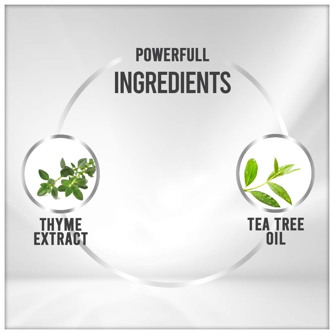 Vedic Line Hair Conditioner 200ml - Thyme & Tea Tree Oil for Anti-Dandruff & Hair Repair - Unisex & Adult Use - Perfect for Dry, Itchy Scalp & Damaged Hair Care Routine