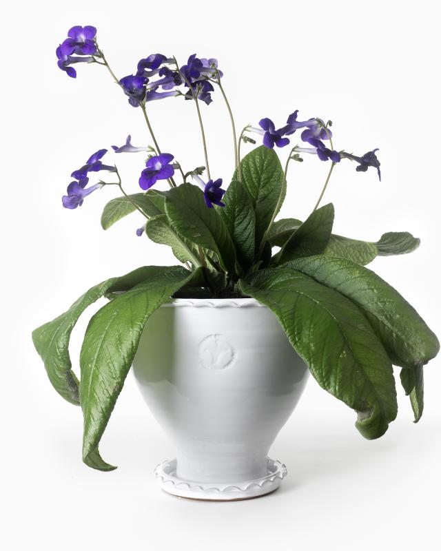 Kruka Sturehof Adelcrantz 24cm White Ceramic Flower Pot - Perfect for Indoor Plants, Succulents, and Home Decor