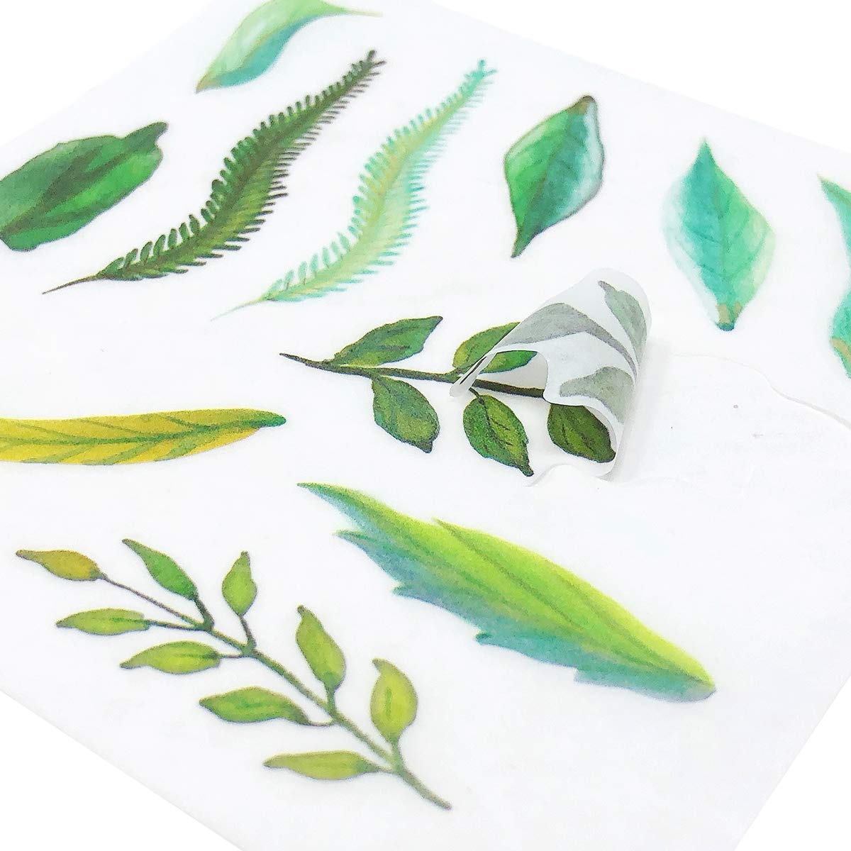 Allydrew Washi Scrapbooking Stickers Box Set - 20 Sheets Green Plant Decorative Tape for Journaling, DIY Crafts, Bullet Journals & Planner Decorations