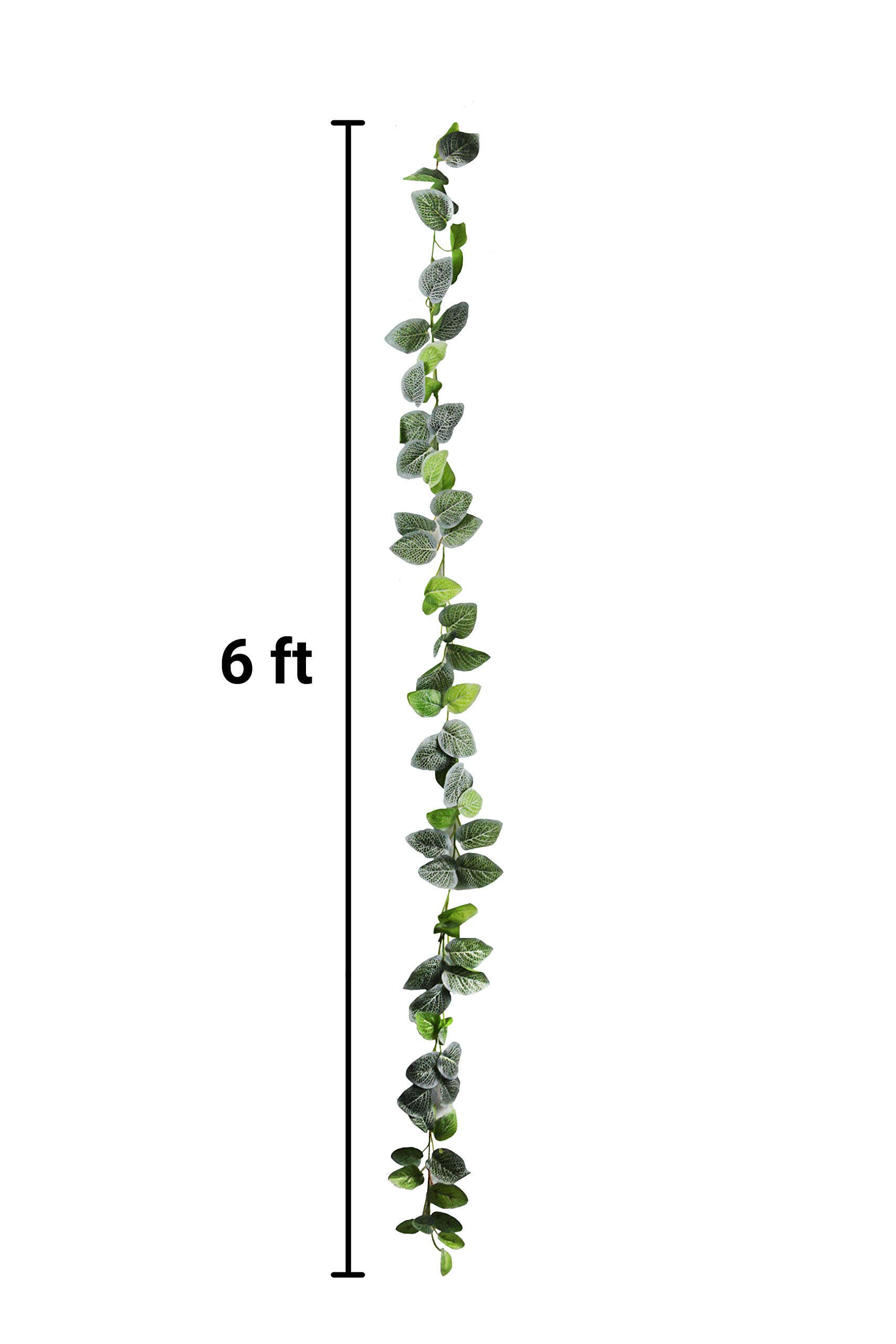 Pangea Leafy Vine for Reptile Terrarium Habitat - Natural Japanese Laurel Climbing Plant for Chameleons, Geckos & Snakes - Perfect for Jungle-Themed Enclosures & Reptile Decor
