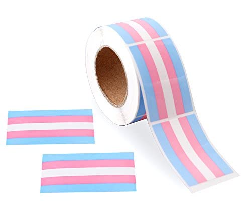Transgender Flag Pride Rectangle Stickers - LGBTQ+ Trans Pride Decals for Pride Month, Labels, Party Decor, Envelopes & Posters (1 Roll) - Perfect for Laptop, Water Bottle, Notebook & Wall Decor