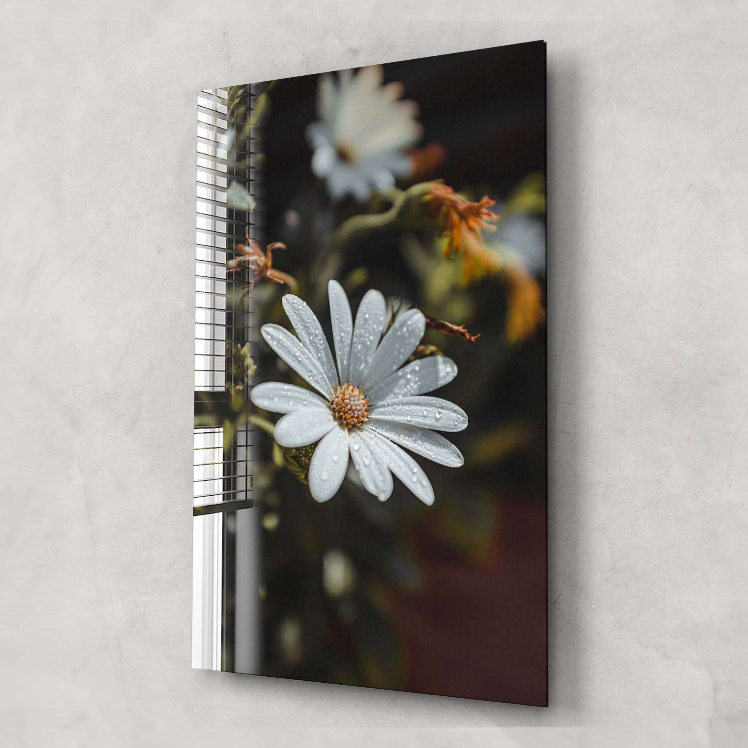 Fresh Daisy Flowers Bouquet - Hand-Picked Seasonal Daisies for Home Decor, Weddings & Special Occasions | Perfect for Centerpieces, Gifts & Floral Arrangements