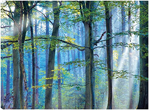 Enchanted Forest Crop
