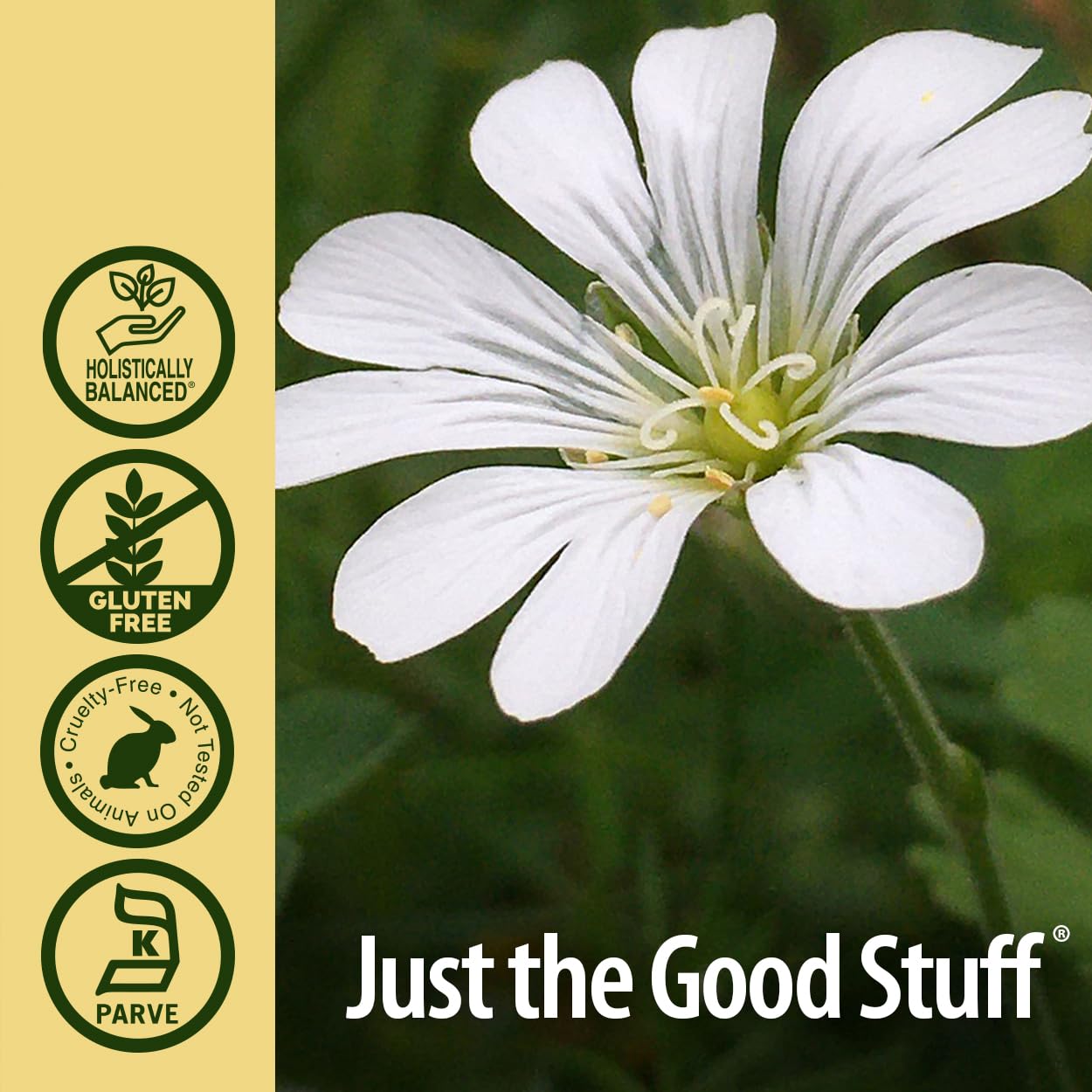 Nature's Answer Organic Chickweed Herb Extract with Alcohol, 2 fl oz - Promotes Healthy Skin, Relieves Itching & Supports Hydration | Natural Skin Care Solution for Eczema, Rashes & Dry Skin Relief