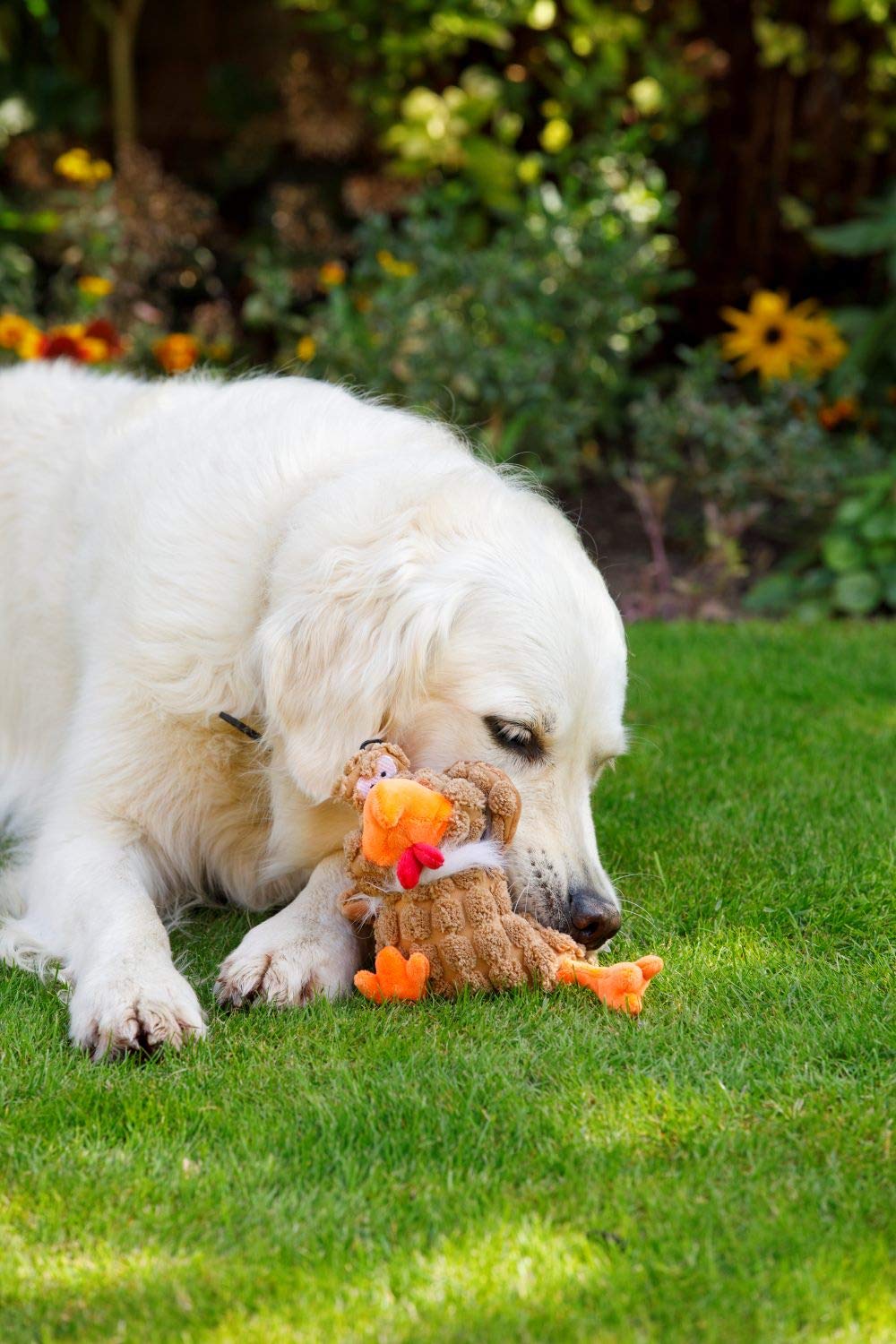 Farmyard Buddies Durable Chunky Chicken Dog Toy - Interactive Chew Toy for Small & Medium Dogs, Perfect for Playtime & Training