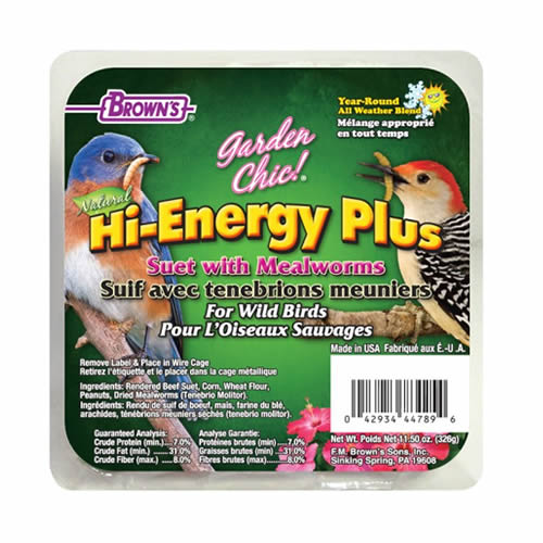 High Energy Suet Plus Mealworms - 8 Cakes | Premium Bird Food for Wild Birds | Perfect for Backyard Feeders & Birdwatching