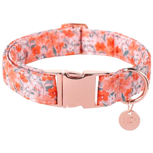 OrangeFlower CC