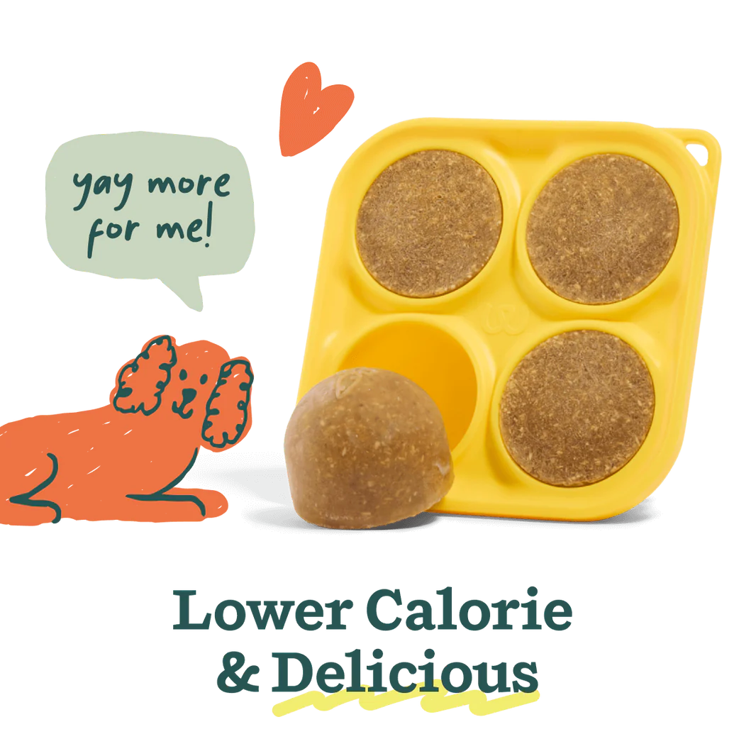 Healthy Homemade Pupsicle Pops for Happy Tummies - Natural Digestive Aid for Dogs - Perfect for Summer Treats & Digestive Support