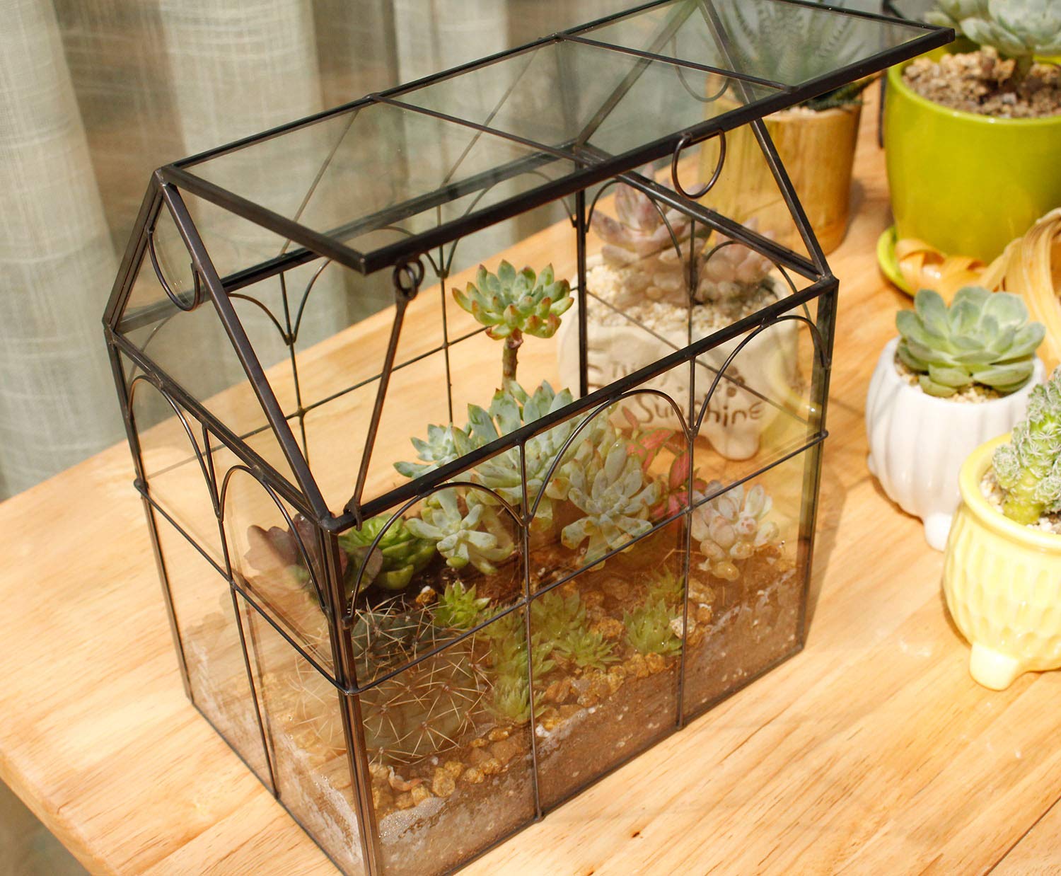 Glass Geometric Plant Terrarium for Succulents & Air Plants - Modern Home, Office & Garden Decor (Black) | Perfect for Indoor Plant Display, Wedding Centerpieces & Gift Ideas