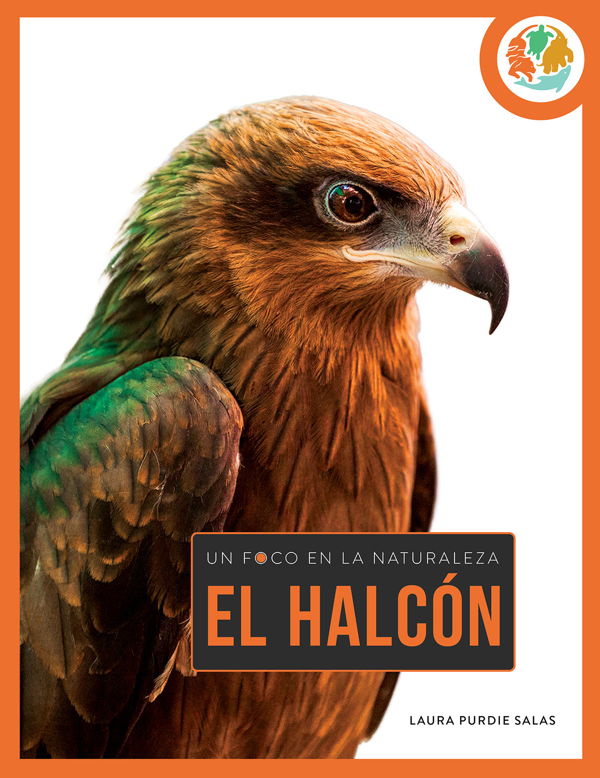 Original Title: el halcon 9798889894681   Optimized Title: Premium El Halcon Knife - High-Quality Stainless Steel Blade for Outdoor Camping, Hunting, and Survival - Perfect for Adventurers and Bushcraft Enthusiasts
