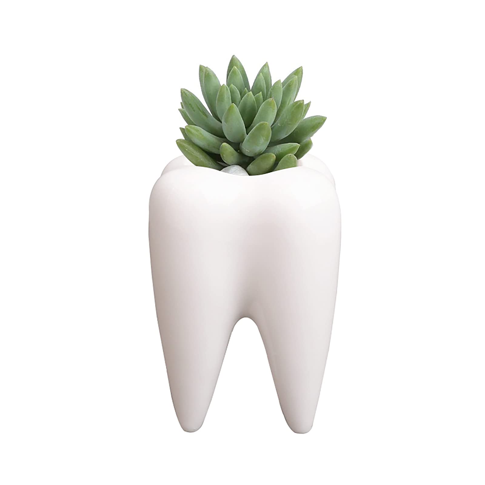 Cute Tooth-Shaped White Ceramic Succulent Planter - Small Cactus Pot & Flower Vase for Home Decor, Creative Pen/Pencil Holder for Office Desk - Perfect for Windowsills, Shelves & Gift Giving (Plants Not Included)