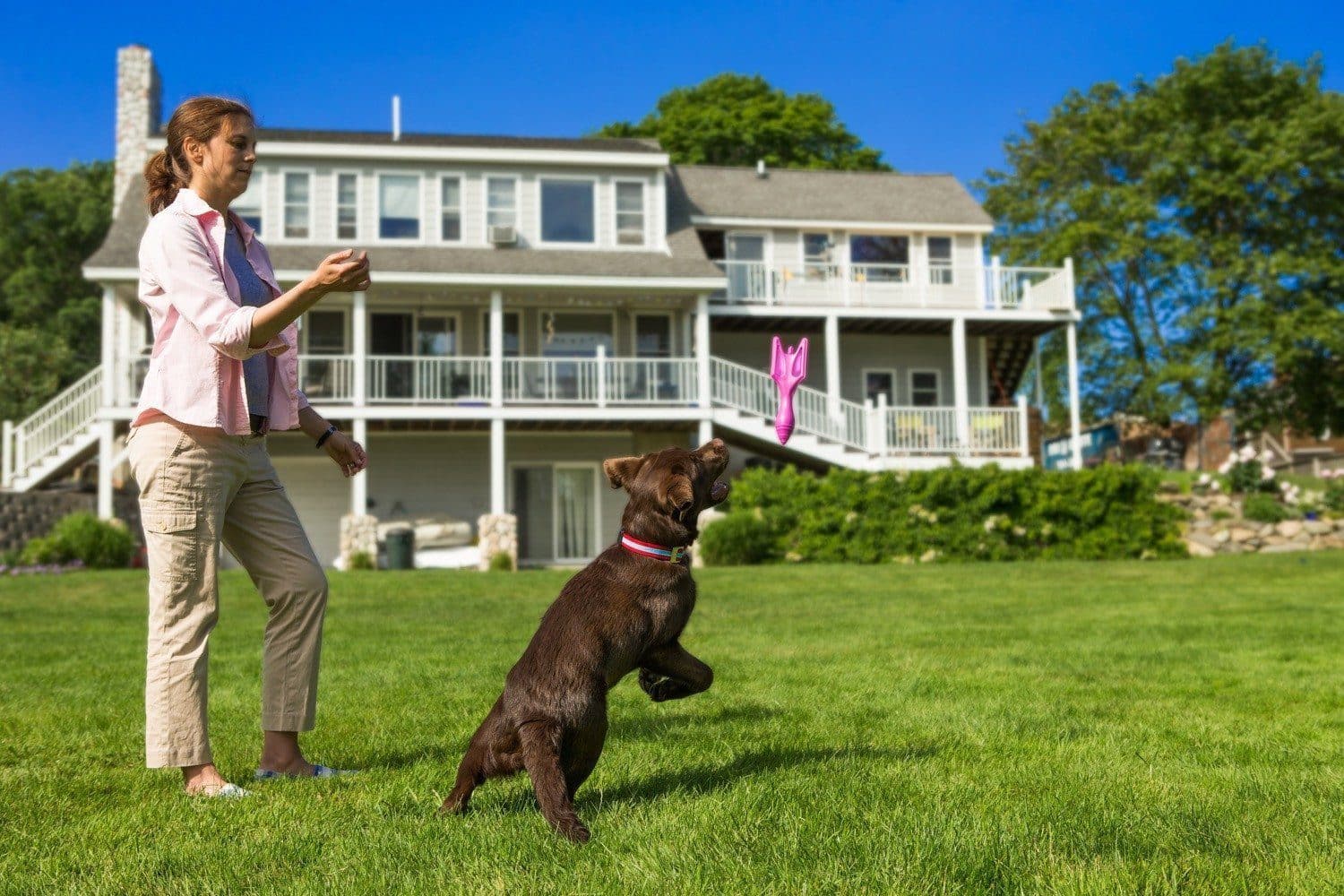 Kurgo® Doggie Darts - Interactive Dog Toy for Fetch & Training | Durable Outdoor & Indoor Play for Active Dogs