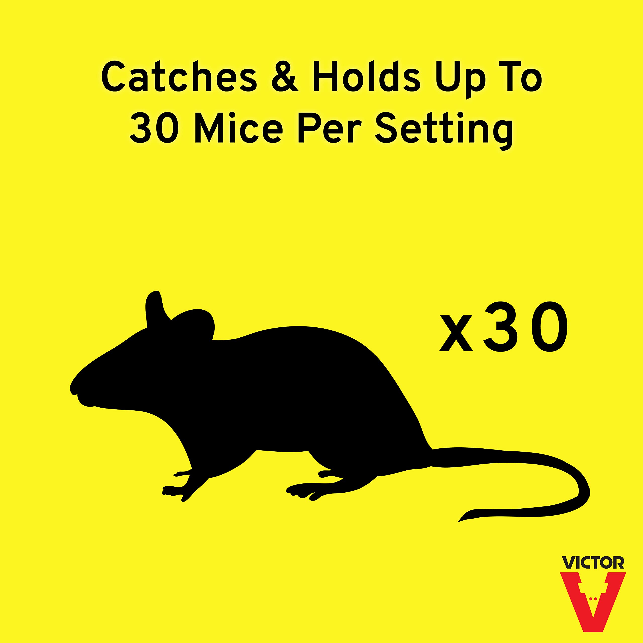 Victor M308 TIN CAT Clear Top Mouse & Rat Trap - Humane Live Catch Reusable Rodent Trap (Pack of 12, Silver) - Ideal for Home, Garage, Basement & Outdoor Pest Control